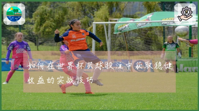 如何在世界杯买球投注中获取稳健收益的实战技巧