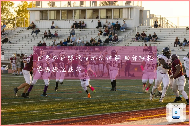 世界杯让球投注玩法详解 助你轻松掌握投注技巧