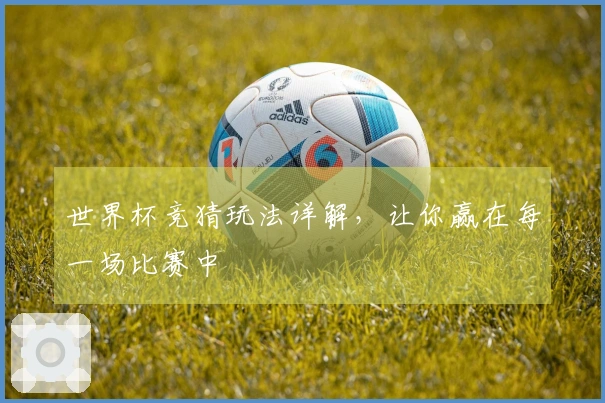世界杯竞猜玩法详解，让你赢在每一场比赛中