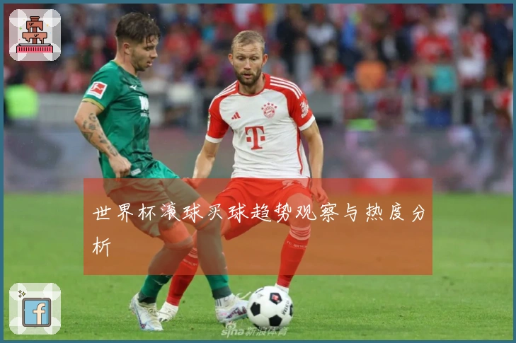 世界杯滚球买球趋势观察与热度分析