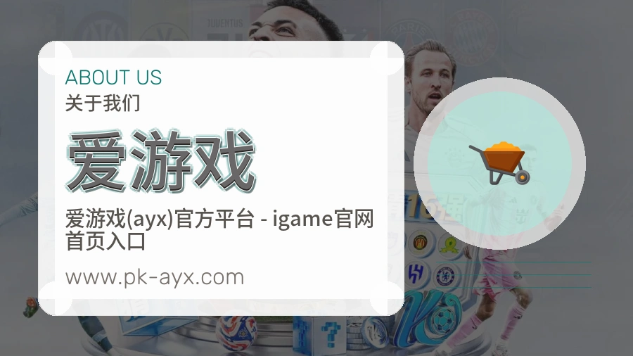 关于 爱游戏
